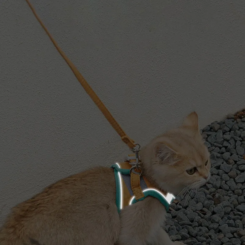 Regulējams Kaķis Izmantotu Mazo Suņu Pavadas Vilkšanas Virves Apmācību Neilona Kaķēns Pavadas Vest Svina Pet Apkakle Pastaigas Kaķis Piegādātāju
