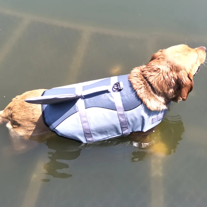 Suņi Peldkostīmi Mājdzīvnieki Drošības Peldēšanas Tērps Suns Glābšanas Veste Pet Veste Haizivs Sirēna Peldkostīmu Suns Uzvalks Cietā Apģērbu Baseins