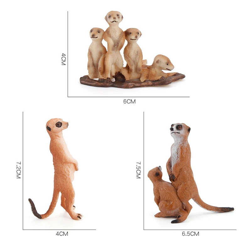 Simulācijas Gudrs Nelielu Meerkat Dzīvnieku Modelis Attēlā Ir Mājas Dekors Bērniem Rotaļlietas