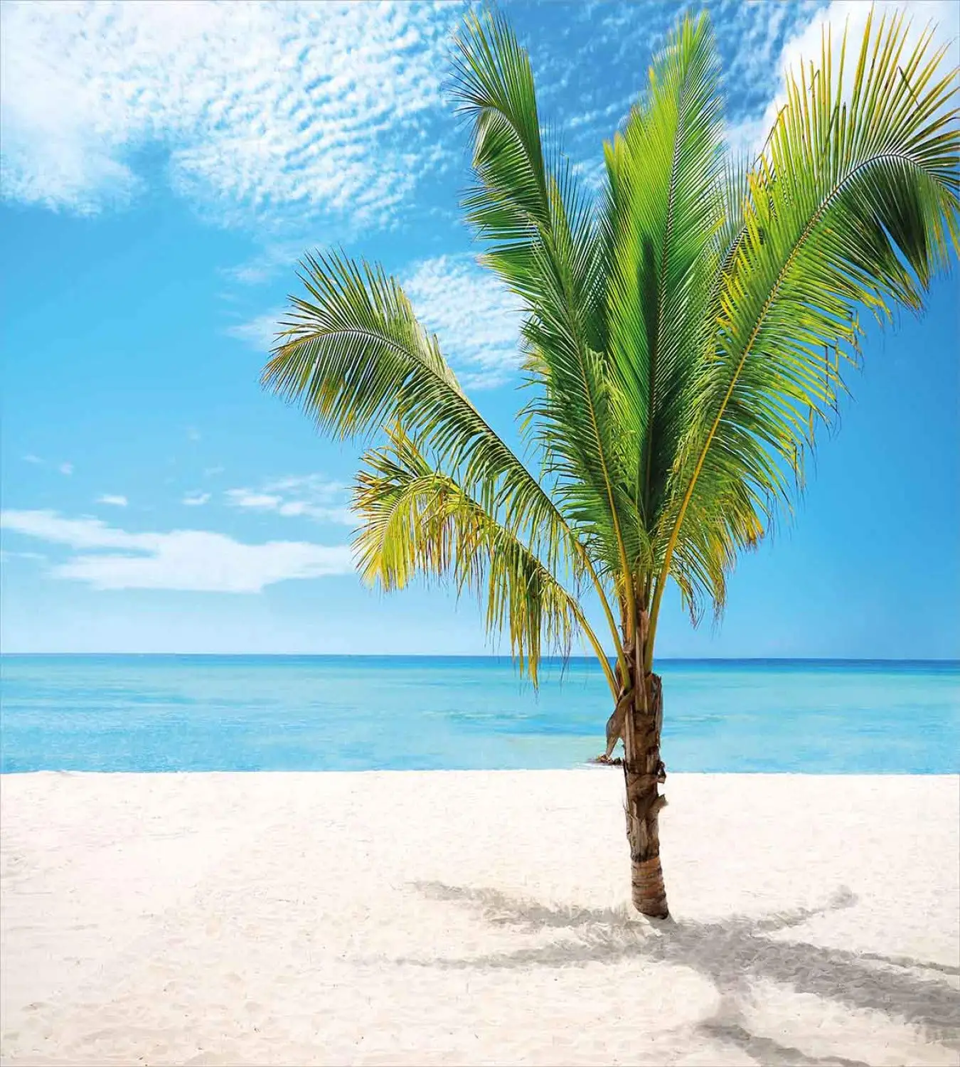 Tropu Sega sedz Uzstādīts Eksotisko Pludmales ar Palmu Koku Saona Salu, Saulainā Vasaras Dienā Piejūras Foto Dekoratīvie 3 Gabals Gultas