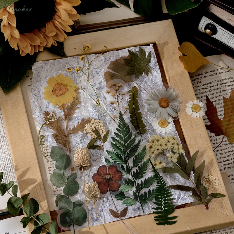 10pcs/maiss Vintage Fitosanitāro sērijas PET uzlīmes iepakojumā DIY dienasgrāmata apdare uzlīmes scrapbooking albumu