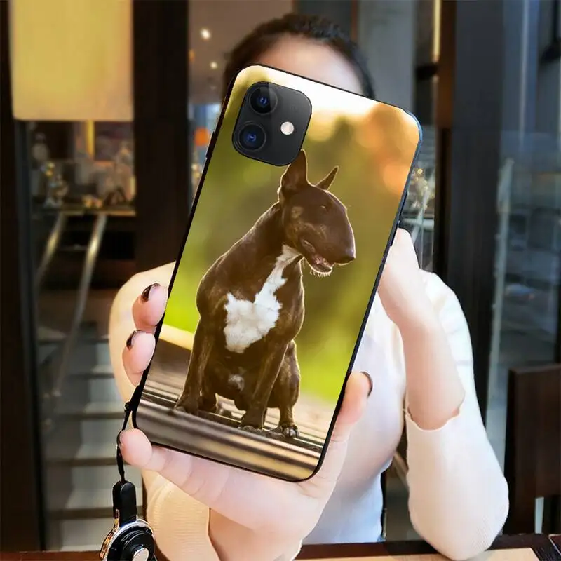 Staffordshire Bull Terjers Staffy Suns Tālrunis Lietā Par iphone 12 11 Pro Max Mini XS Max 8 7 6 6S Plus X 5S SE 2020. GADAM XR Vāciņu