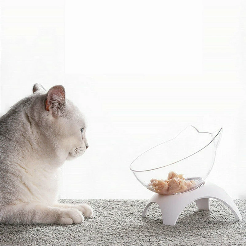 Kaķis Bļodā Un Kaķis ir Pārtikas Bļoda ar neslīdošu 15° Slīpi Kaķis Bļoda Ar Paaugstinātu Pet, Pārtika, Ūdens, Bļoda Kaķu Un Suņu Pakārtotais