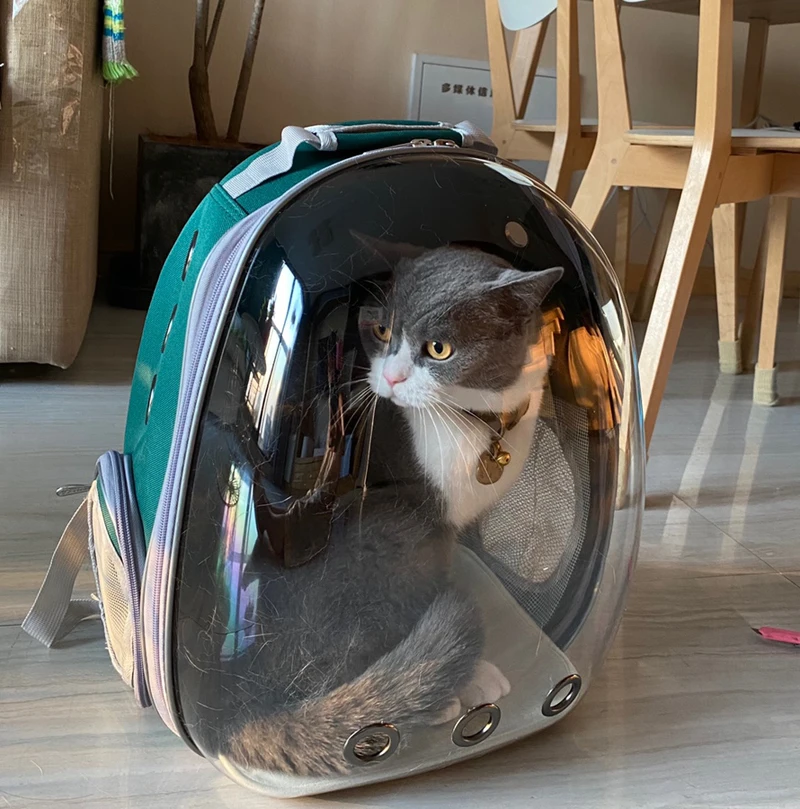 Kaķis Pārvadātājs Soma Kosmosa Pet Mugursoma Elpojošs Portatīvo Kaķis Maisā Āra Pet Ceļojumu Mugursoma Kaķis Transporta soma Dubultā Plecu