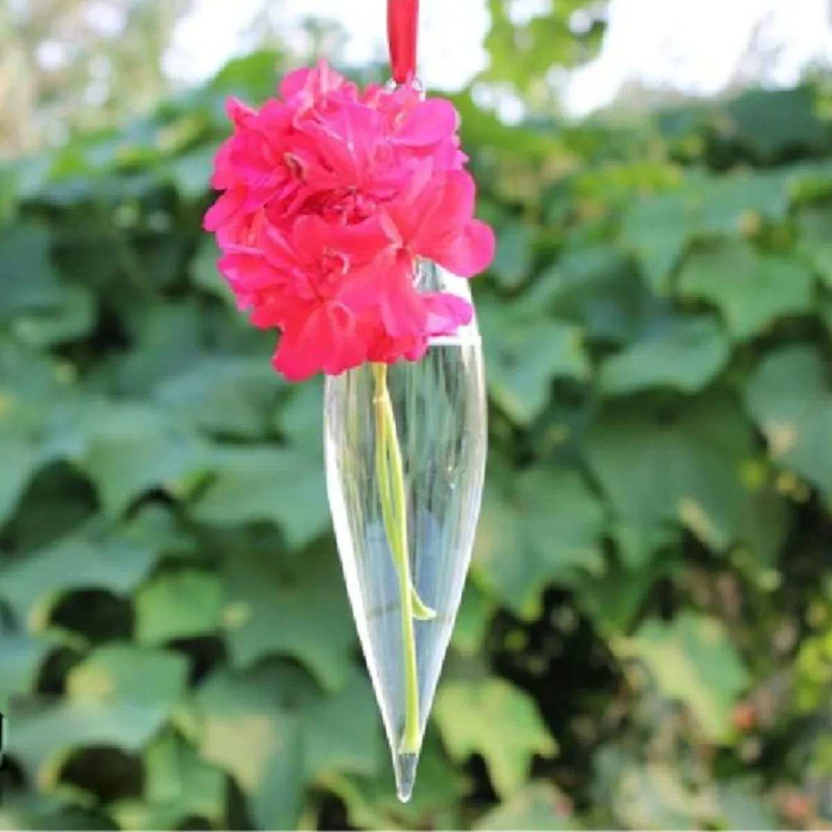 Olīvu Formas Stikla Karājas Vāze ar 1 Caurumu Ziedu, Augu Karājas Vāze Biroja Dārza Rotājumi Stādīšanas Ziedu Vāze Kāzu Dekori