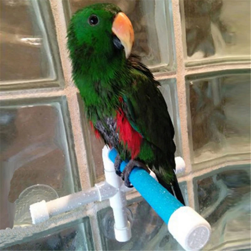 Nepieredzējis Disku Putnu Papagailis Mazgāšanās Dušā Stāvot Joslā Dual Stick Turētājs Pet Rotaļlietas 2021