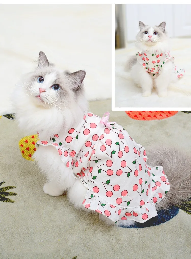 Bezvilnas Kaķus Drēbes Pet Apģērbs Gudrs Plānas Kaķu Apģērbu Sfinksa Kaķu Apģērbu Vasaras
