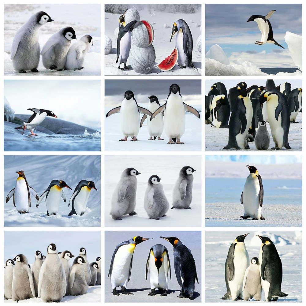 Evershine Pilnu Kvadrātveida/Kārtas Urbt 5D DIY Dimanta Krāsošana Pingvīns Dimanta Izšuvumi Dzīvniekiem Cross Stitch Mozaīkas Mākslas Rhinestone