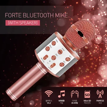 WS858 Bluetooth Karaoke Bezvadu Mikrofonu Bērnu Rotaļlietu Bezvadu Portatīvo Karaoke Mašīna Rokas Mikrofons Runātājs Mājas Puse DZIEDĀT